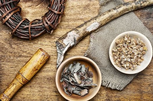 Medicinal herb in the wooden bowl and inula root