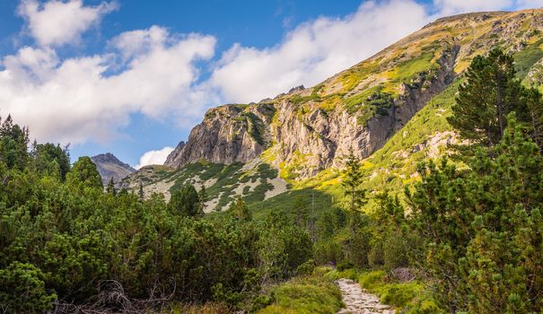 Mountain Landscape on Sunny Day. View form Hiking Trail. Mlynicka Valley, High Tatra, Slovakia.