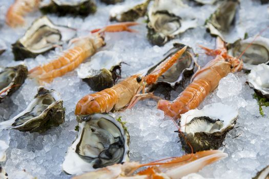 Close up view of a composition of shrimp and oysters on ice