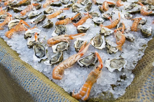 Close up view of a composition of shrimp and oysters on ice