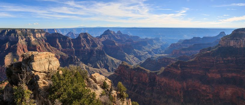 Beautiful Landscape of Grand Canyon from North Rim, Arizona, United States
