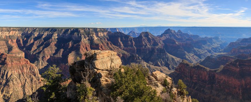 Beautiful Landscape of Grand Canyon from North Rim, Arizona, United States
