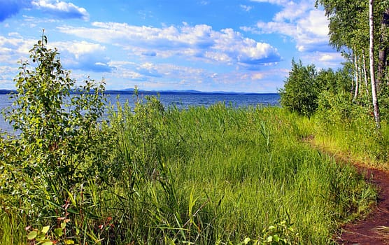 The shore of a lake in summer with green grass and trees