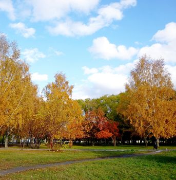 City Park in Autumn. Blue sky, green grass, red and yellow trees, paths