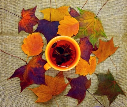 Mock-up autumn. Orange cup with tea on a background of autumn leaves. Background - coarse texture