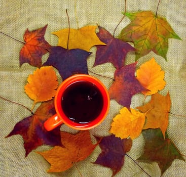 Mock-up autumn. Red cup with tea on a background of autumn leaves. Background - coarse texture