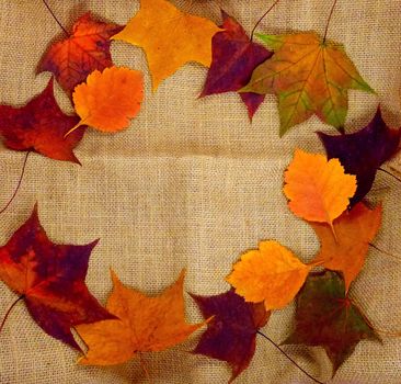 Autumn leaves on a cloth burlap. Round frame. Space for text