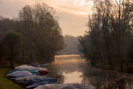 Ticino river and its forest  and many covered anchored motorboats,a fine mist makes mystical ambiance at sunrise.