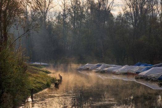 Ticino river and its forest  and many covered anchored motorboats,a fine mist makes mystical ambiance.