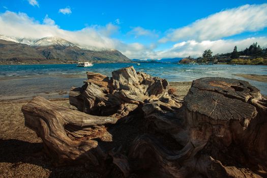 cutting tree stump and wankak lake important traveling destination in south island new zealand