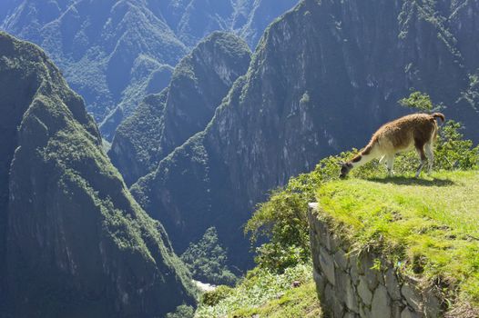 Machu Picchu, Peru, South America