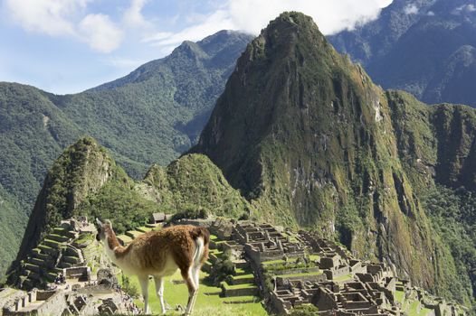 Machu Picchu, Peru, South America