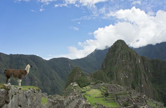 Machu Picchu, Peru, South America