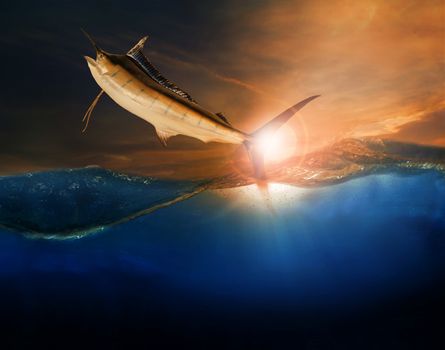sailfish flying over blue sea ocean use for marine life and beautiful aquatic nature 