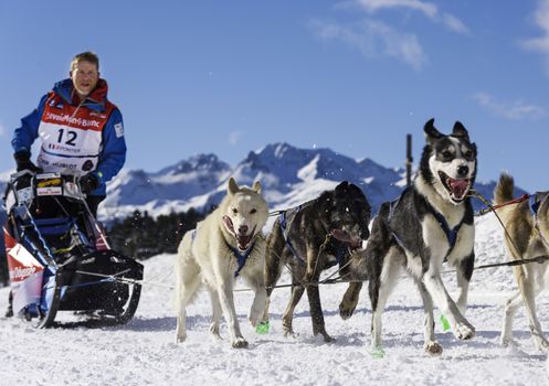 SARDIERES VANOISE, FRANCE - JANUARY 20 2016 - the GRANDE ODYSSEE the hardest mushers race in savoie Mont-Blanc, Philippe Pontier, french musher, Vanoise, Alps