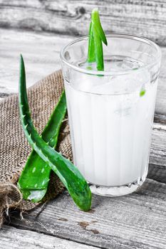 glass of medicinal drink sap from aloe leaf