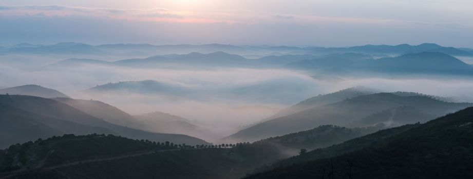 Beautiful view of the morning fog filling the valleys of smooth hills.