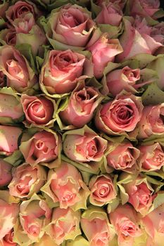 Wedding table centerpiece with pink greenish roses