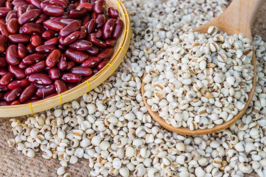 Job's tear seed dried wooden spoon on sack background