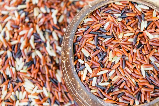 Jasmine rice, Brown rice, Red rice, Mixed rice and Riceberry rice.