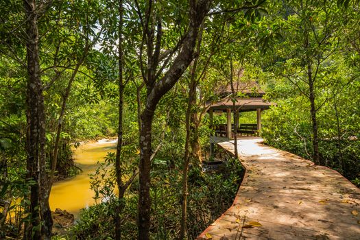 Tha Pom Klong Song Nam Mangrove forest conservation and tourist destination in Krabi province, Thailand.