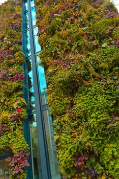 Green wall building in the city, France