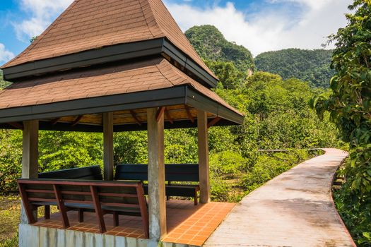 Tha Pom Klong Song Nam Mangrove forest conservation and tourist destination in Krabi province, Thailand.