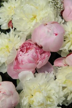 Pink and white peonies in a bridal bouquet