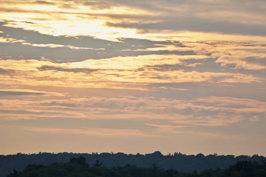 Beautiful isolated photo of a sunset and the forest