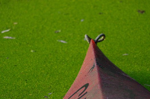 a Old red canoe ashore the pond