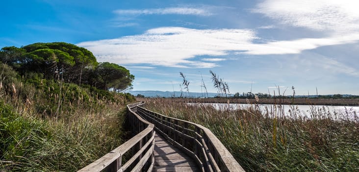 Wooden bridge in the middle of pond of platamona - Sardinia