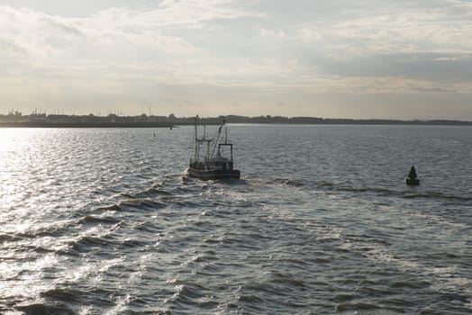 Fishing boat in the morning light on the UNESCO protected Dutch Wadden Sea near Harlingen in the Netherlands
