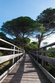 Wooden bridge in the middle of pond of platamona - Sardinia