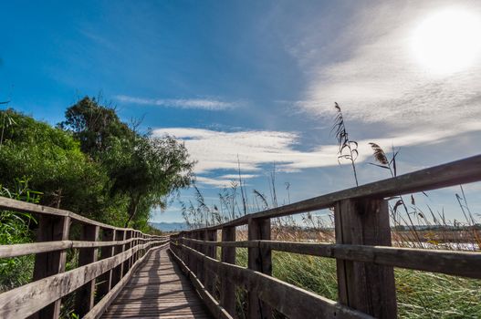 Wooden bridge in the middle of pond of platamona - Sardinia