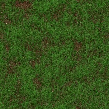 Green grass seamless texture background.