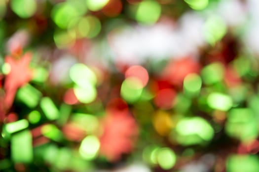 Blur image of Christmas decoration use for background