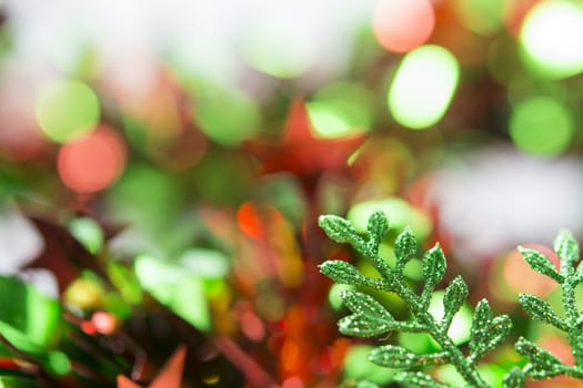 Close up for pine leaf Christmas decoration