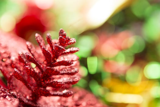 Close up for Red pine cones Christmas decoration