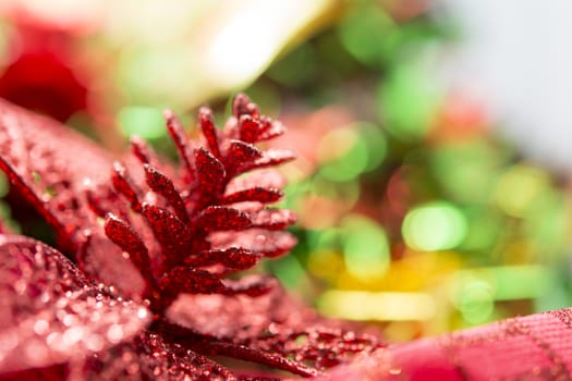 Close up for Red pine cones Christmas decoration