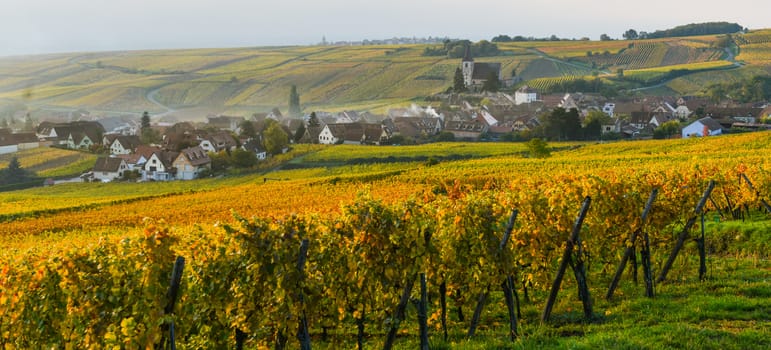 Alsatian vineyards, Alsace, France, Europe, Autumn, Mountain,