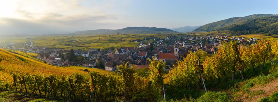 Alsace village, with vineyard, Riquewhir. France, Europe