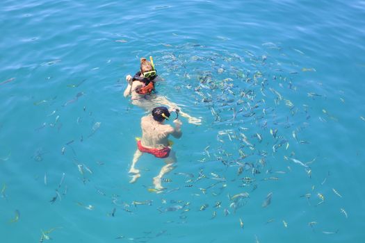 TRAT THAILAND - OCT29 : visitor  snorkeling and feeding some food for marine fish and enjoy activities on blue clear water of koh chang important marine national park eastern of thailand  on October29, 2014 in Trat eastern of Thailand 