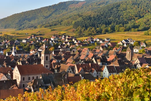 Alsace village, with vineyard, Riquewhir. France, Europe