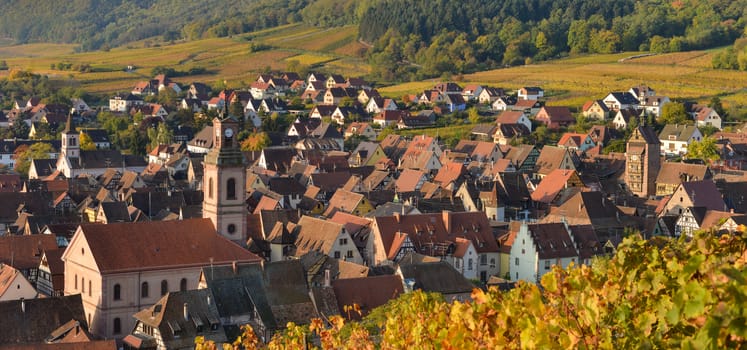 Alsace village, with vineyard, Riquewhir. France, Europe