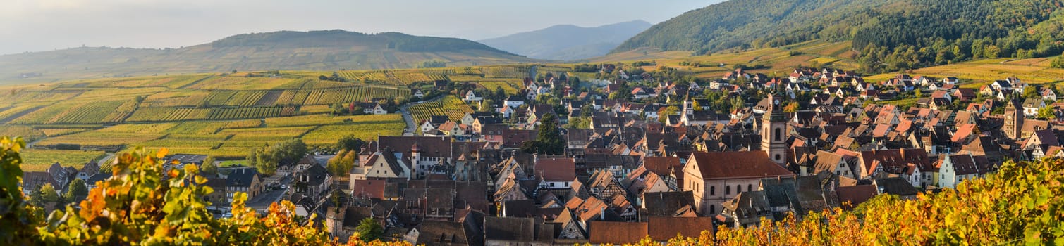 Alsace village, with vineyard, Riquewhir. France, Europe