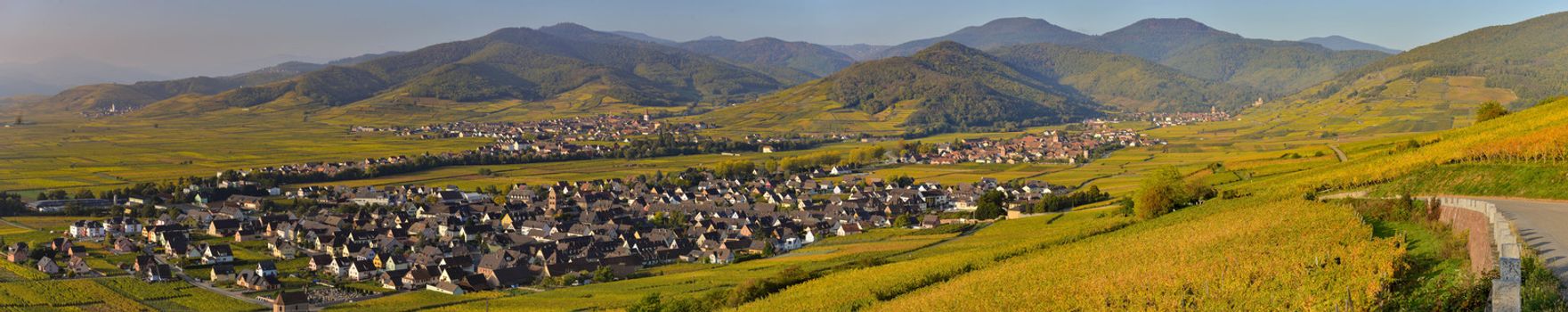 France, Haut-Rhin, 68, Alsace Wine Route, Kaysersberg, the vineyard, the Sainte-Croix church and the keep of the imperial castle