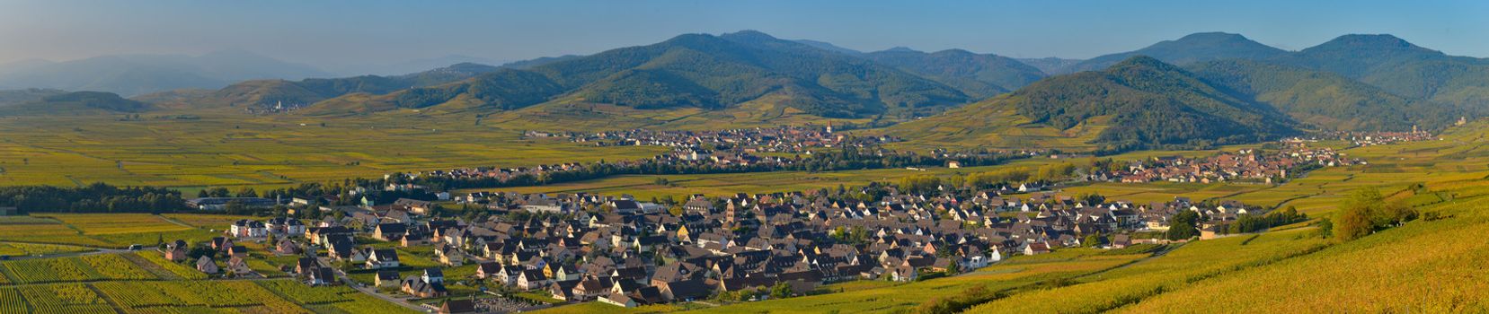 France, Haut-Rhin, 68, Alsace Wine Route, Kaysersberg, the vineyard, the Sainte-Croix church and the keep of the imperial castle