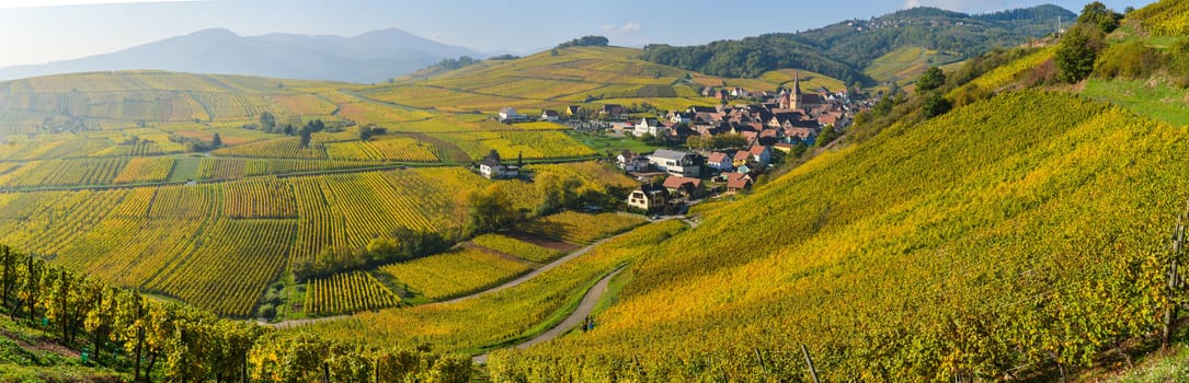 Niedermorschwih, Alsatian vineyards, Alsace, France, Europe, Autumn, Mountain,