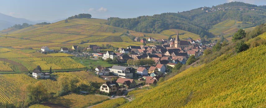 Niedermorschwih, Alsatian vineyards, Alsace, France, Europe, Autumn, Mountain,