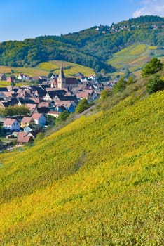 Niedermorschwih, Alsatian vineyards, Alsace, France, Europe, Autumn, Mountain,